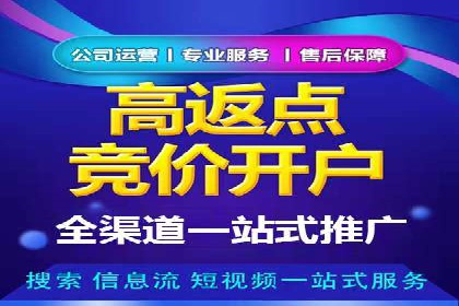 精准投放：SEM推广的技巧与案例
